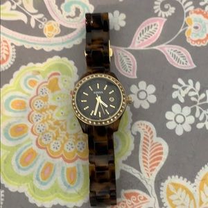 ⏰ Fossil Tortoises Watch⏰